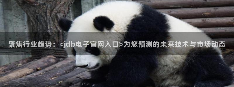 jdb电子体育游戏：聚焦行业趋势：<jdb电子官网入口>为您预测的未来技术与市场