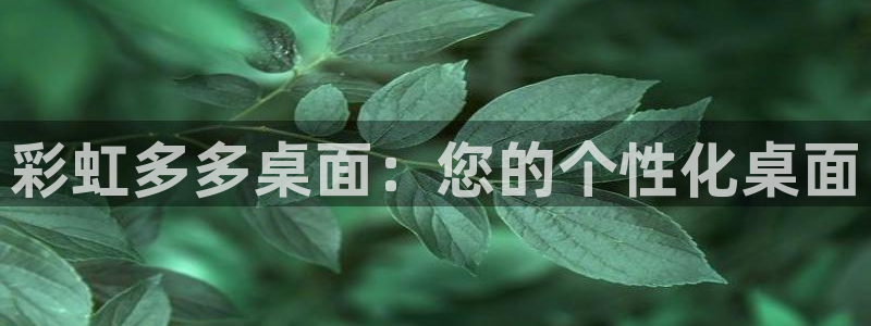 jdb电子3登陆：彩虹多多桌面：您的个性化桌面
