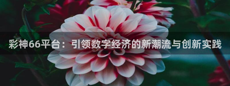 jdb电子3注册：彩神66平台：引领数字经济的新潮流与创新实践