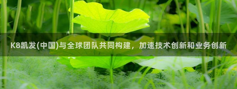 jdb电子体育热门赛事有哪些：K8凯发(中国)与全球团队共同构建，加速技术创新和